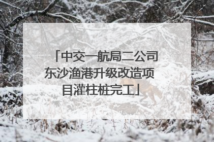 中交一航局二公司东沙渔港升级改造项目灌柱桩完工