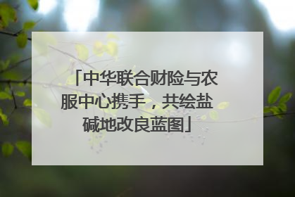 中华联合财险与农服中心携手，共绘盐碱地改良蓝图