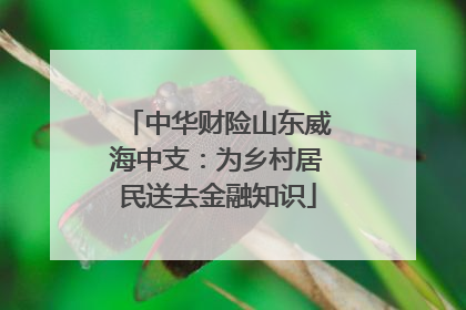 中华财险山东威海中支：为乡村居民送去金融知识