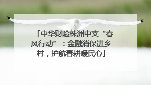 中华财险株洲中支“春风行动”：金融消保进乡村，护航春耕暖民心