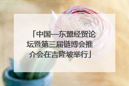 中国—东盟经贸论坛暨第三届链博会推介会在吉隆坡举行