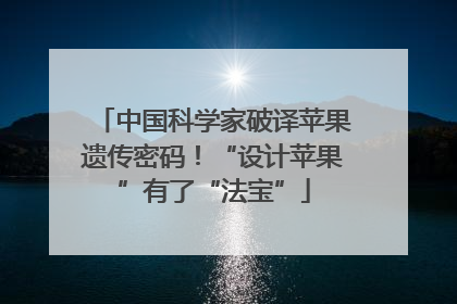 中国科学家破译苹果遗传密码！“设计苹果”有了“法宝”