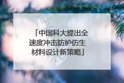 中国科大提出全速度冲击防护仿生材料设计新策略