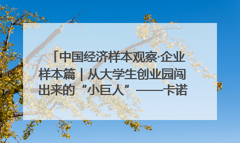 中国经济样本观察·企业样本篇｜从大学生创业园闯出来的“小巨人”——卡诺普机器人的逐梦历程