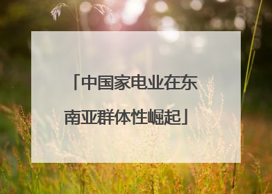 中国家电业在东南亚群体性崛起