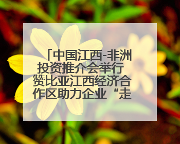 中国江西-非洲投资推介会举行 赞比亚江西经济合作区助力企业“走出去”