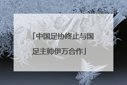 中国足协终止与国足主帅伊万合作
