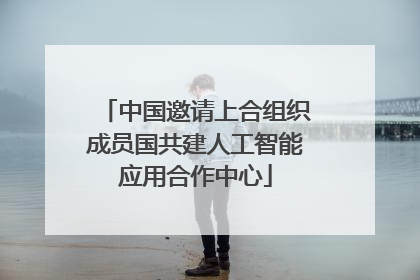 中国邀请上合组织成员国共建人工智能应用合作中心