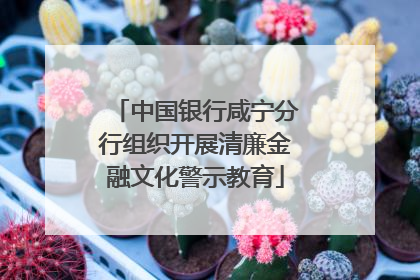 中国银行咸宁分行组织开展清廉金融文化警示教育