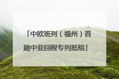 中欧班列（福州）首趟中亚回程专列抵榕