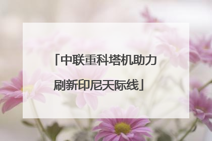 中联重科塔机助力刷新印尼天际线
