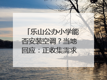 乐山公办小学能否安装空调？当地回应：正收集需求，部分中小学已启动安装｜云求助