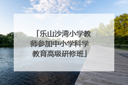 乐山沙湾小学教师参加中小学科学教育高级研修班