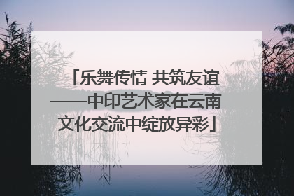 乐舞传情 共筑友谊——中印艺术家在云南文化交流中绽放异彩
