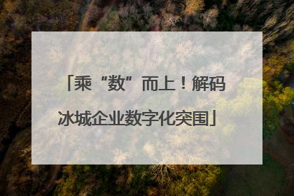 乘“数”而上！解码冰城企业数字化突围