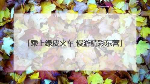 乘上绿皮火车 慢游精彩东营