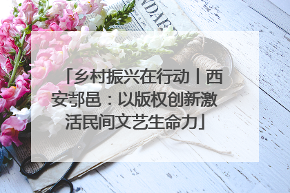 乡村振兴在行动丨西安鄠邑：以版权创新激活民间文艺生命力