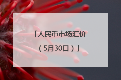 人民币市场汇价（5月30日）