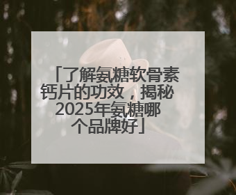 了解氨糖软骨素钙片的功效，揭秘2025年氨糖哪个品牌好
