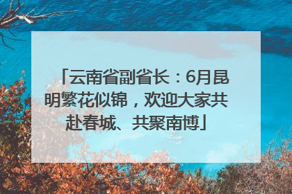 云南省副省长：6月昆明繁花似锦，欢迎大家共赴春城、共聚南博