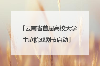 云南省首届高校大学生庭院戏剧节启动