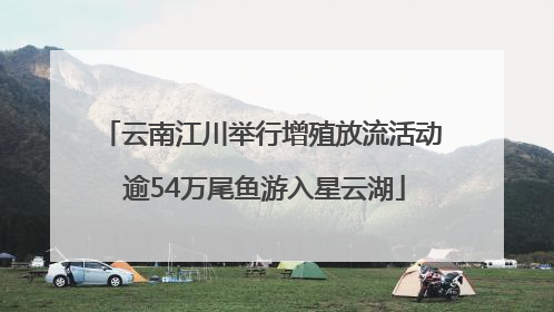 云南江川举行增殖放流活动 逾54万尾鱼游入星云湖