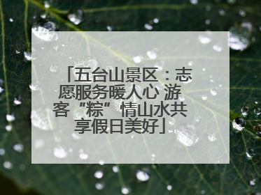 五台山景区：志愿服务暖人心 游客“粽”情山水共享假日美好