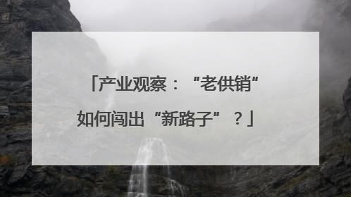 产业观察：“老供销”如何闯出“新路子”？