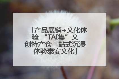 产品展销+文化体验 “TAI集”文创特产仓一站式沉浸体验泰安文化