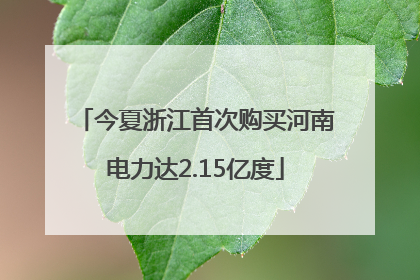 今夏浙江首次购买河南电力达2.15亿度