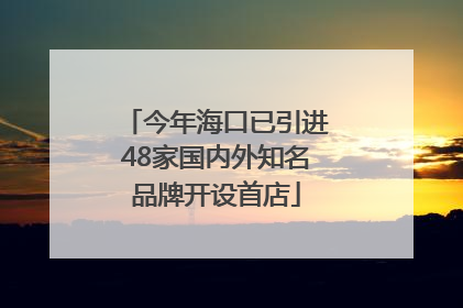 今年海口已引进48家国内外知名品牌开设首店