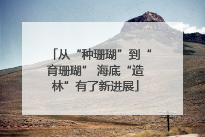 从“种珊瑚”到“育珊瑚” 海底“造林”有了新进展