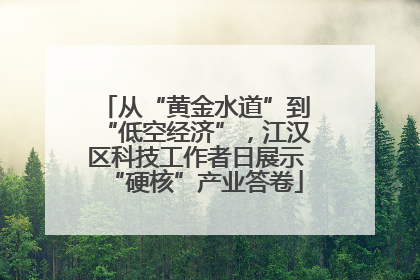 从“黄金水道”到“低空经济”，江汉区科技工作者日展示“硬核”产业答卷