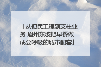 从便民工程到支柱业务 眉州东坡把早餐做成会呼吸的城市配套