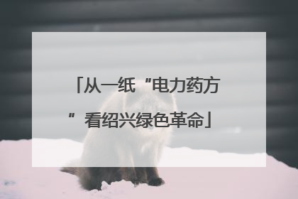 从一纸“电力药方”看绍兴绿色革命