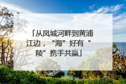从凤城河畔到黄浦江边，“海”好有“陵”携手共赢