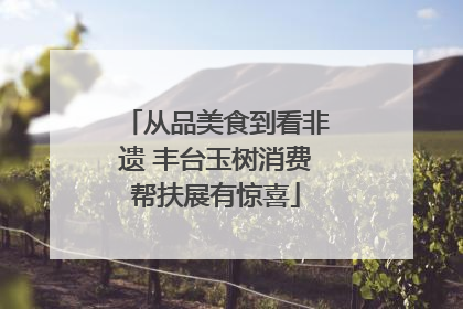从品美食到看非遗 丰台玉树消费帮扶展有惊喜