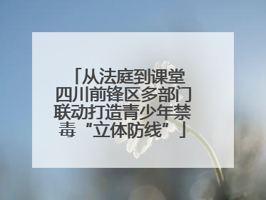 从法庭到课堂 四川前锋区多部门联动打造青少年禁毒“立体防线”