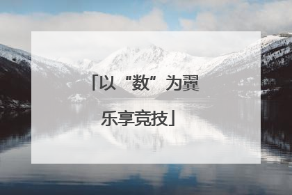 以“数”为翼 乐享竞技
