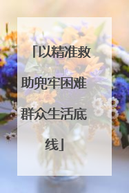 以精准救助兜牢困难群众生活底线