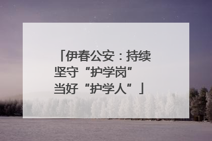伊春公安：持续坚守“护学岗” 当好“护学人”