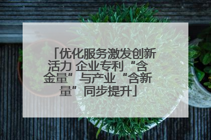 优化服务激发创新活力 企业专利“含金量”与产业“含新量”同步提升