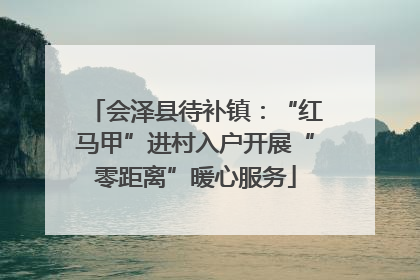 会泽县待补镇：“红马甲”进村入户开展“零距离”暖心服务
