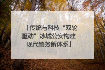 传统与科技“双轮驱动”冰城公安构建现代警务新体系