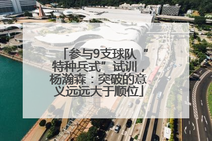 参与9支球队“特种兵式”试训，杨瀚森：突破的意义远远大于顺位