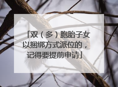 双（多）胞胎子女以捆绑方式派位的，记得要提前申请