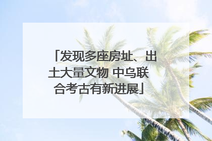发现多座房址、出土大量文物 中乌联合考古有新进展