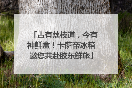 古有荔枝道，今有神鲜盒！卡萨帝冰箱邀您共赴胶东鲜旅