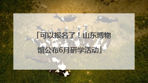 可以报名了！山东博物馆公布6月研学活动