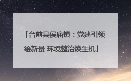 台前县侯庙镇：党建引领绘新景 环境整治焕生机